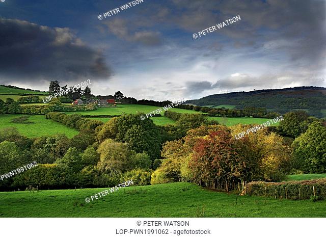 Wales, Powys, Llangynidr. View across the hills of the Dyffryn Crawnon nature reserve as autumnal colours begin to show