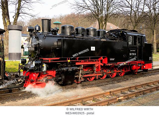 Narrow Gauge Railway, 'Rasender Roland', Sellin, Ruegen, Germany