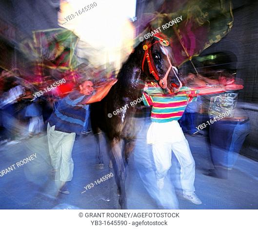 The victorious Dragon Drago Contrada escort their winning horse to the Duomo, The Palio, Siena, Tuscany, Italy