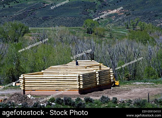 Building new log house - Colorado