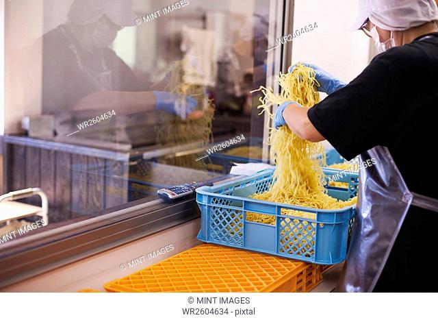Workers in aprons and gloves weighing and packing freshly made noodles in a soba noodle production unit