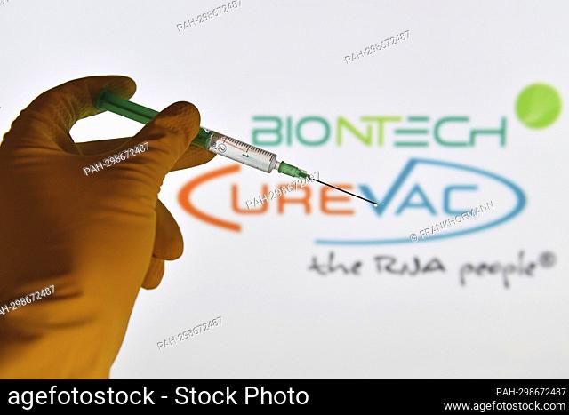 ARCHIVE PHOTO: Curevac sues Biontech. Topic image, symbolic photo: Corona vaccine. A hand encased in rubber gloves holds a disposable syringe with vaccine for...