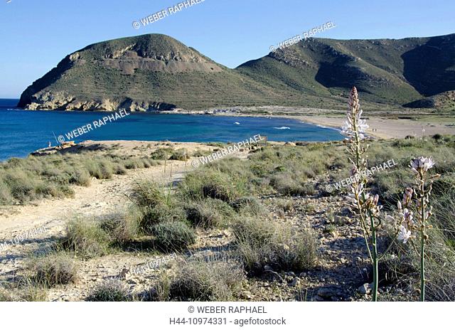 Spain, Cabo de Gata, nature reserve, Almeria, Rodalquilar, coast, Mediterranean Sea, beach, seashore, sand beach, Playazo