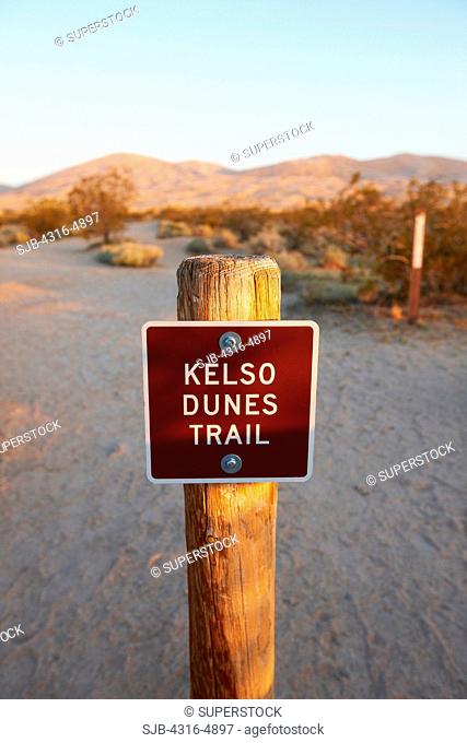 Trail into Kelso Dunes, California