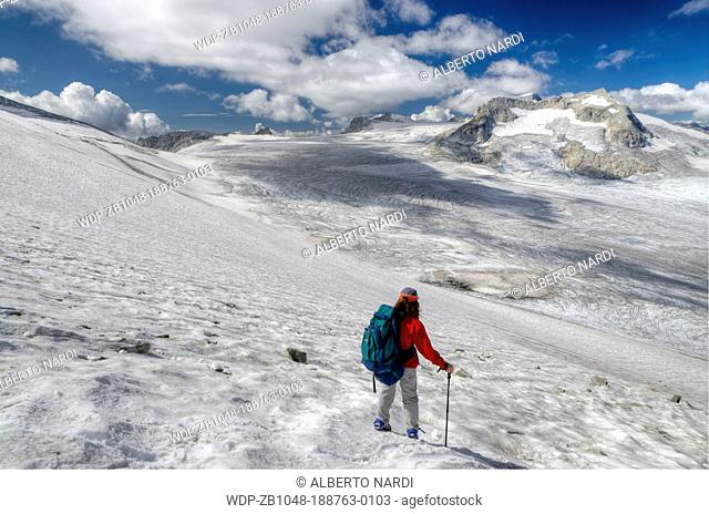 panorama from Cresta Croce: Pian di Neve and Mandrone Glacier, Mt Corno Bianco and Mt Adamello 3554 m, Adamello-Brenta Natural Park, the Retiche Alps
