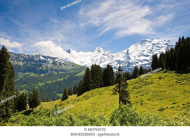 Jungfrau massif, Switzerland, Bernese Oberland, Muerren