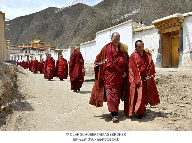 Tibetan Buddhism, monks and novices walking along the buildings wearing red monk's robes, Labrang Monastery, Xiahe, Gansu, formerly known as Amdo, Tibet, China