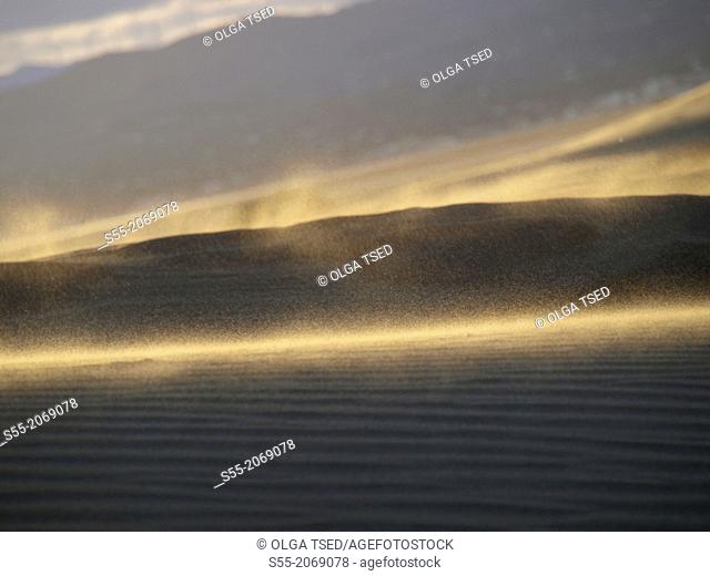 Sand in motion. Delta del Ebro, punta del Fangar, Catalonia, Spain