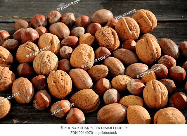 Carya illinoinensis, Corylus avellana, Juglans regia, Prunus dulcis, Pekan, Hasel, Walnuss, Mandel, Pecan, Hazel, Walnut, Almond, Nüsse, Nuts