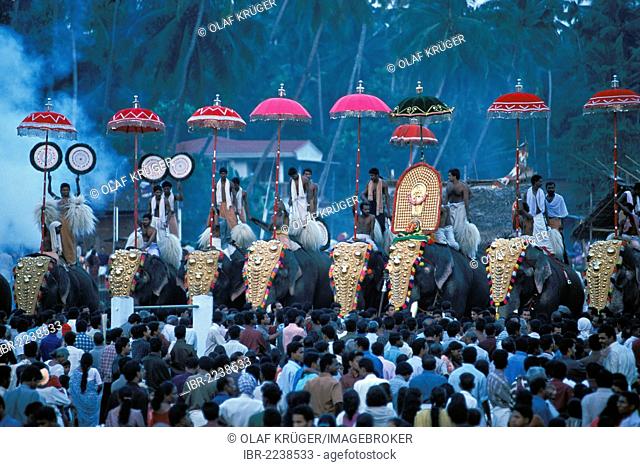 Elephant parade, near Sree Sastha Temple, Arattupuzha Pooram festival, near Thrissur, Kerala, South India, India, Asia