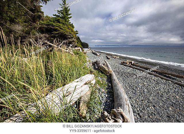 Rugged coastline at French Beach Provincial Park - near Sooke, Vancouver Island, British Columbia, Canada