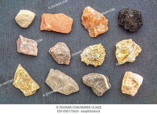 sedimentary rock geology collection, from top left: siltstone, sandstone rock salt, coal, limestone, arkose, conglomerate, fossiliferous limestone, mudstone