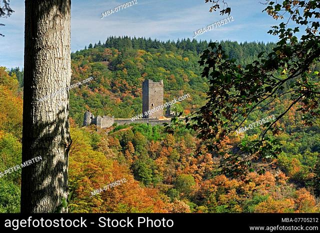 View on castle ruin Oberburg, Castles of Manderscheid, Manderscheid, Eifel, Rhineland-Palatinate, Germany