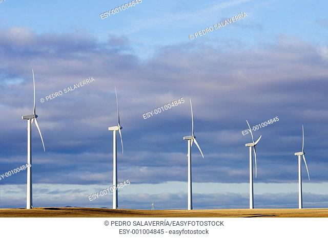lined mills for production of electric power with cloudy sky, Pozuelo de Aragon, Saragossa province, Aragon, Spain