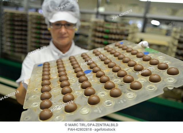 An employee of Stollwerk (GmbH) presents a palette of Christmas chocolate balls in Saalfeld, Germany, 18 September 2013. Thuringian chocolate manufacturers are...