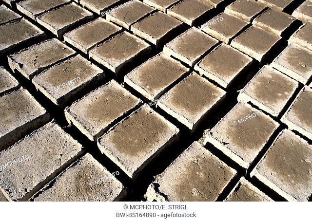 adobe bricks drying in the sun, Bolivia