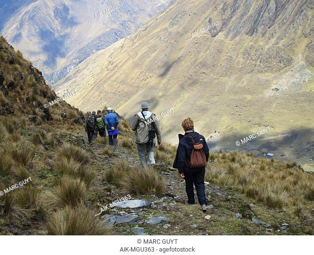 Abra Malaga pass in the high Andes of Peru. Part of the Cordillera Vilcanota mountain range. Birdwatchers heading to the humid patches of Polylepis woodland and...