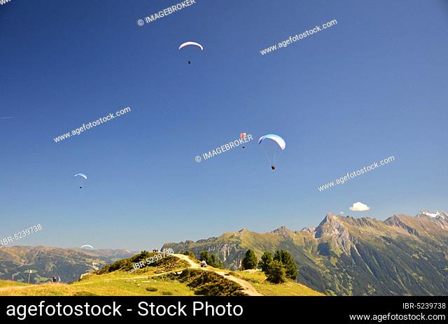 Zillertal, paragliding, Tyrol, Austria, Europe