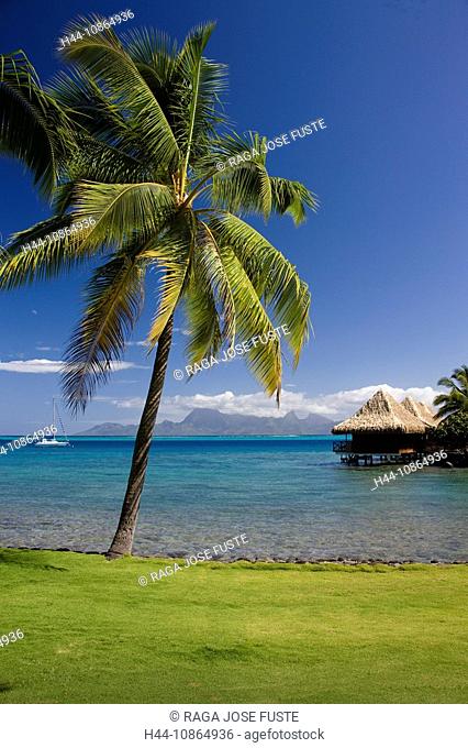 Tahiti, Tahiti Nui Island, Papete City, The Sea, Intercontinental Resort