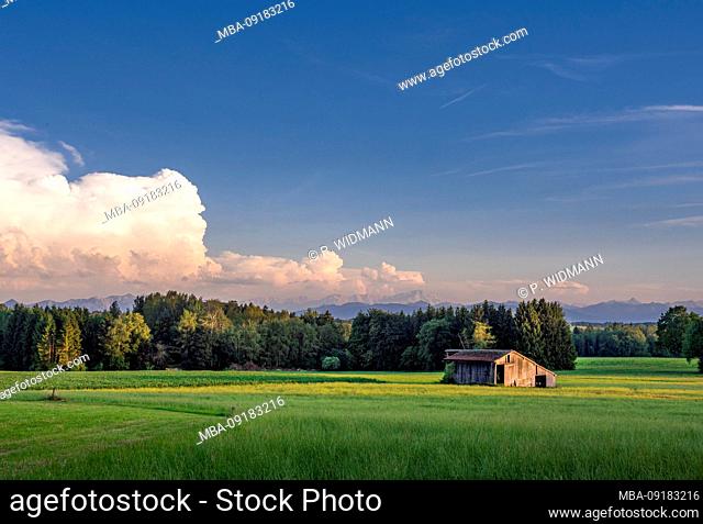 Cumulonimbus clouds in the evening in the Bavarian Vorapenland, Upper Bavaria, Bavaria, Germany, Europe