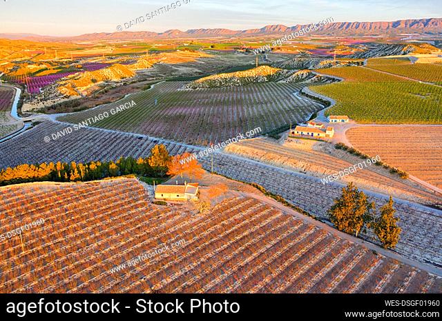 Spain, Region of Murcia, Cieza, Aerial view of vast countryside orchards at dusk