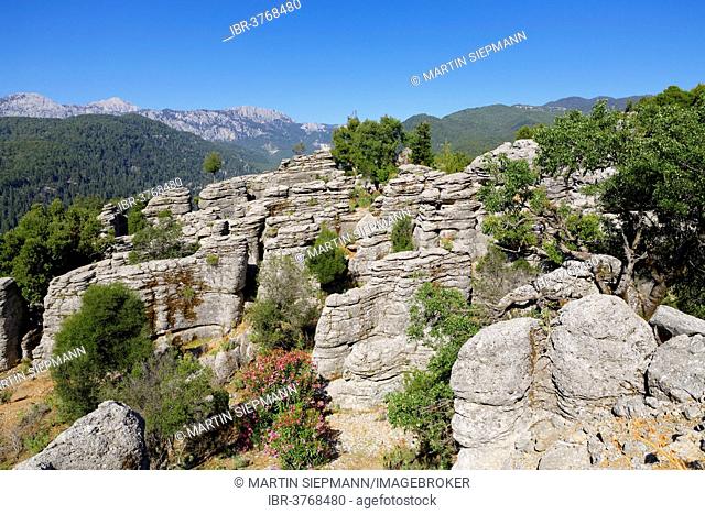 Sedimentary rocks, Taurus Mountains, Köprülü Canyon National Park, Antalya Province, Turkey