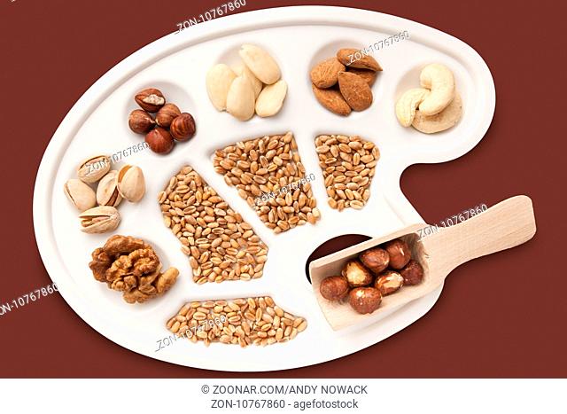 Verschiedene Nüsse, Mandeln und Getreidekörner auf weißer Maler-Pallette freigestellt auf Braun. Various nuts, almonds and cereal grains on white...
