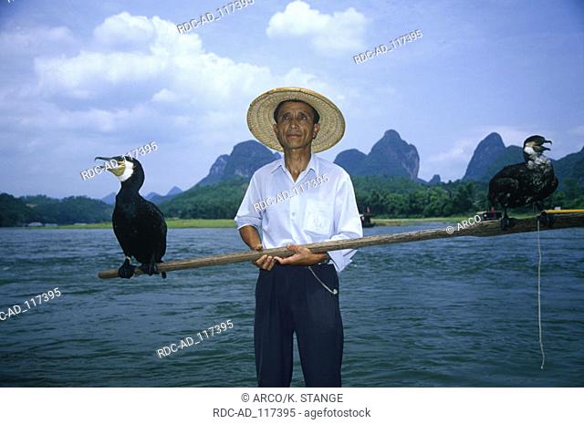 Cormorant fisherman with Cormorants Lee River Guiliin Guanxi China Phalacrocorax carbo