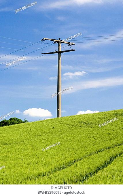 power pole in a green corn field, Germany