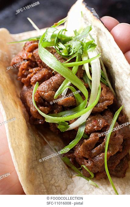 Hand Holding a Korean Bulgogi, Food Truck Specialty