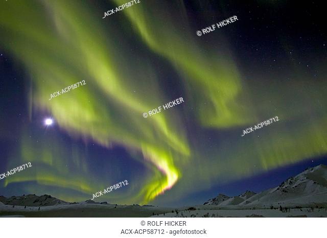 Aurora Borealis, near Tombstone Mountain Lookout, Dempster Highway, Yukon, Canada, Spring, northern lights - GPS 138°17'56.14'W, 64°34'11.83'N