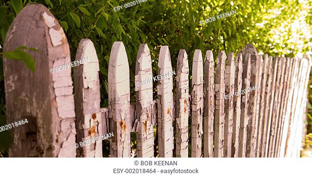 Old White picket fence