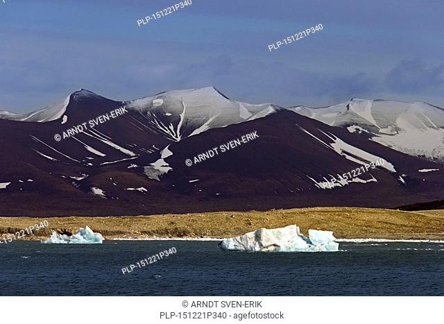 Melting ice floe drifting in Burgerbukta, bay in the north of Hornsund fjord, Svalbard, Spitsbergen, Norway
