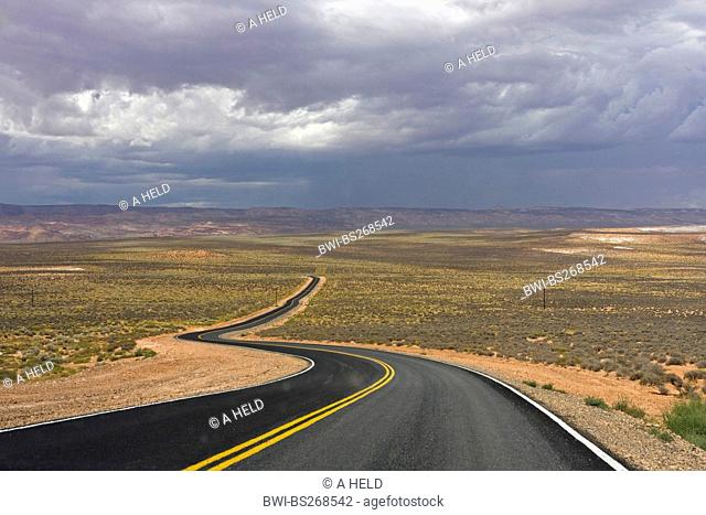 road in desert landscape and rain clouds, USA, Arizona