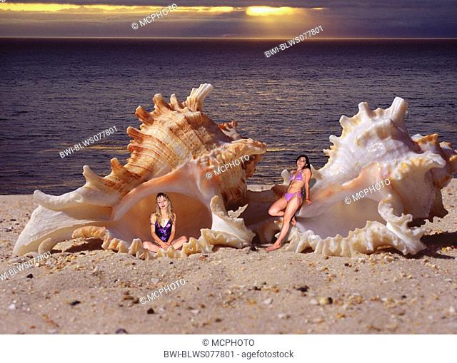 Two tiny young women posing in front of two marine snail-shells
