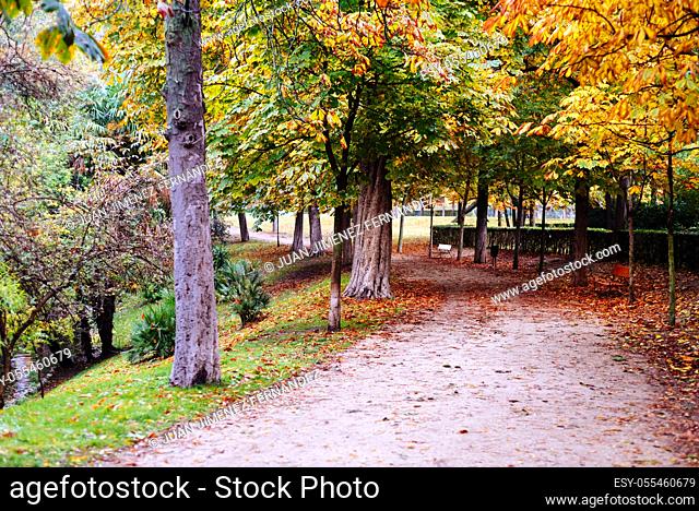 Scene of the Buen Retiro Park in Madrid during the fall with vibrant colors and the paths covered with fallen leaves