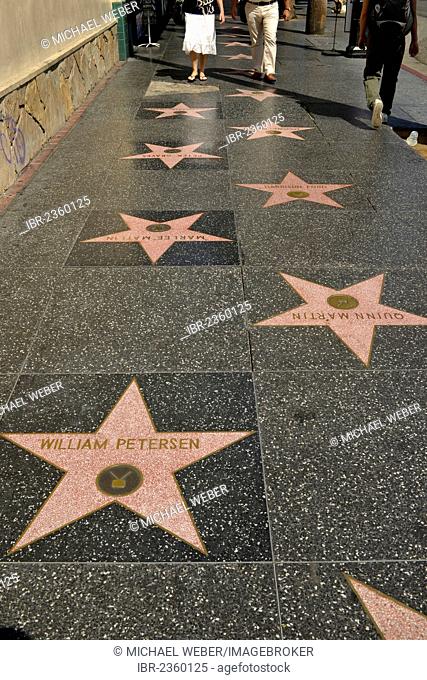 Terrazzo star for artists, Walk of Fame, Hollywood Boulevard, Hollywood, Los Angeles, California, United States of America, USA, PublicGround