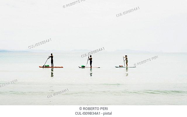 Friends paddleboarding, Olbia, Sardinia, Italy