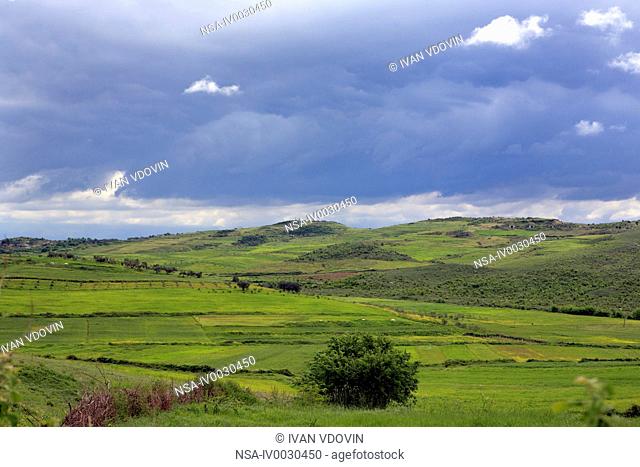 Landscape, district Fier, Albania
