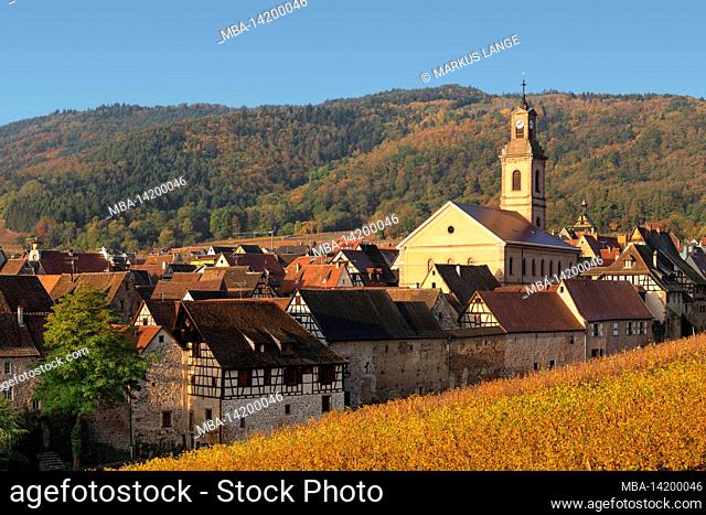 Riquewhir at sunrise, Alsace, Alsace Wine Route, Grand Est, France