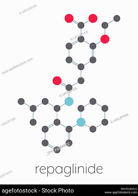 Repaglinide diabetes drug molecule. Stylized skeletal formula (chemical structure). Atoms are shown as color-coded circles connected by thin bonds