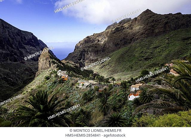 Spain, Canary Islands, Tenerife island, Masca village