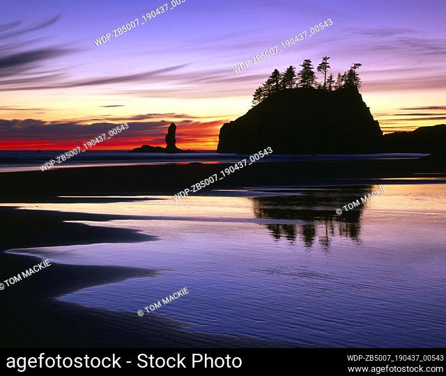 La Push Beach at Sunset, Olympic National Park, Washington, USA