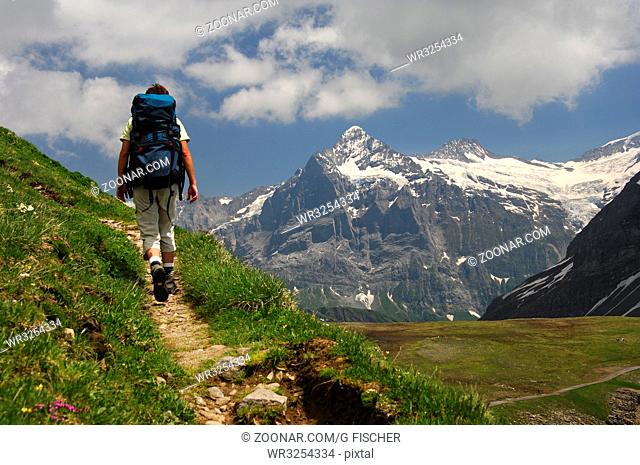 Wanderer auf einem Wanderweg vor dem Wetterhorn Massiv bei Grindelwald im Berner Oberland, Schweiz / Hiker on a hikinmg trail passing the Wetterhorn massif near...