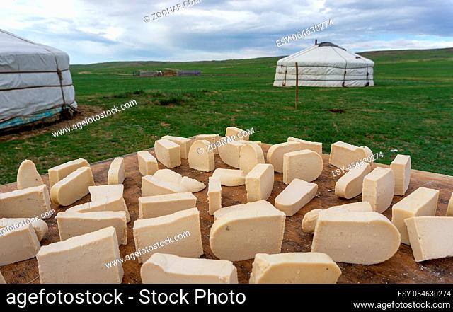 Mongolian dairy product Aaruul or Gurt made from drained sour milk drying with typical ger in background