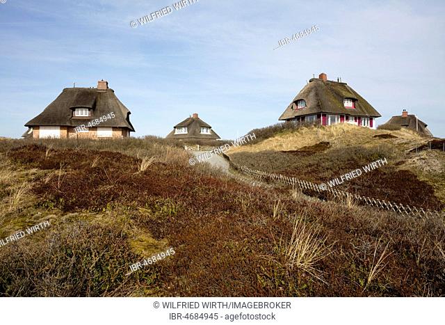 Thatched houses, dune landscape, Hörnum, Sylt, North Frisian Island, North Frisia, Schleswig-Holstein, Germany