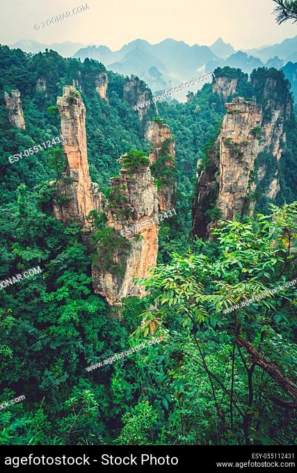 Panoramic view of the stone pillars of Tianzi mountains in Zhangjiajie National park, a famous tourist attraction, Wulingyuan, Hunan Province, China