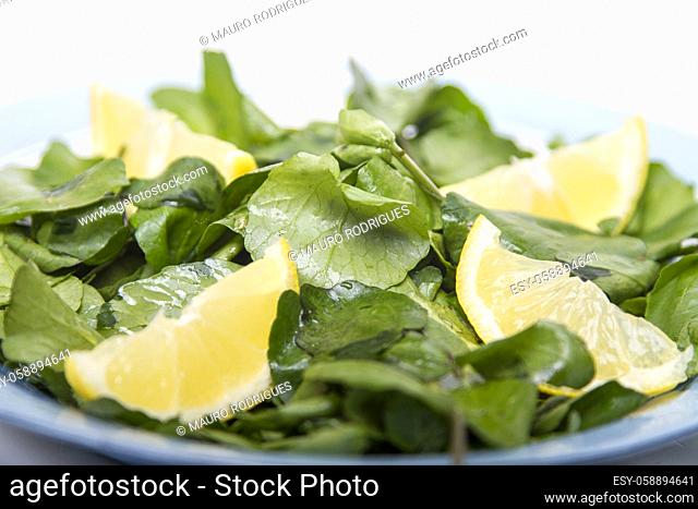 Close up view of a fresh and healthy watercress salad with lemon