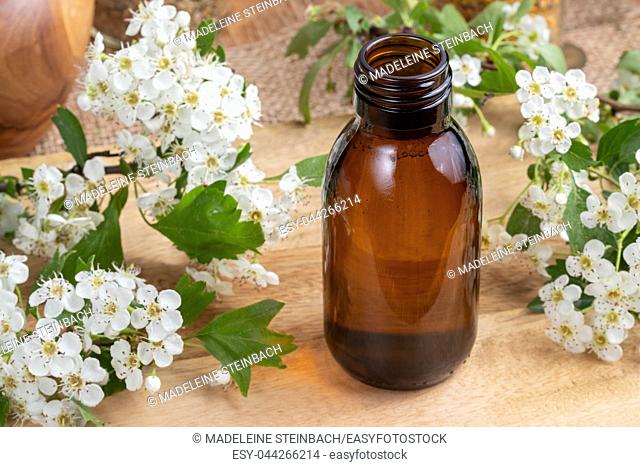 A bottle of tincture with fresh blooming hawthorn branches