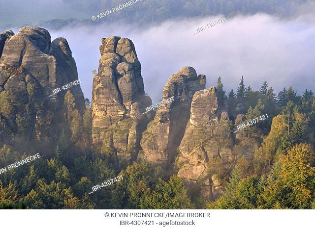 Rocks in morning mist, Autumn, Elbe Sandstone Mountains, Saxon Switzerland, Saxony, Germany